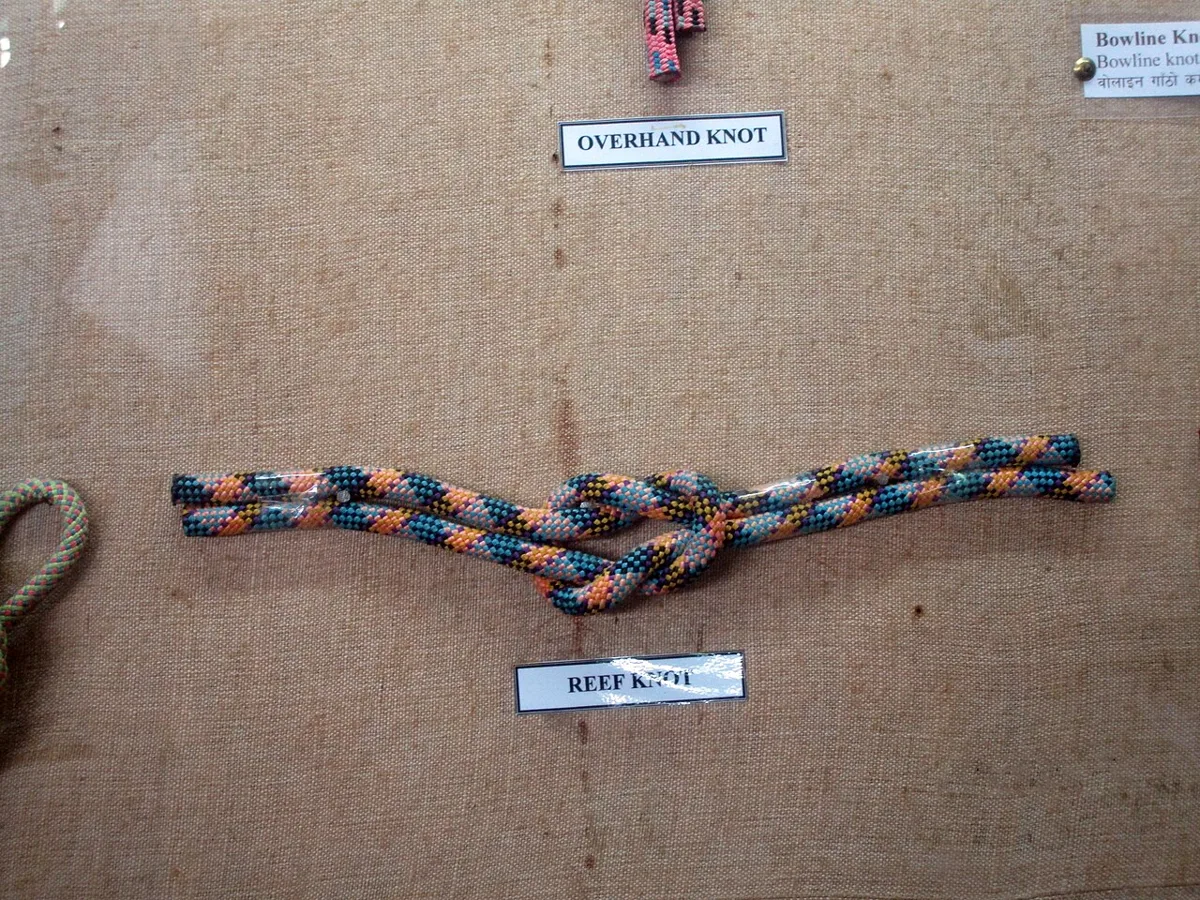 A square or reef knot tied in two strands of braided climbing rope, displayed in a museum case, with both ends of each rope lying on the same side.